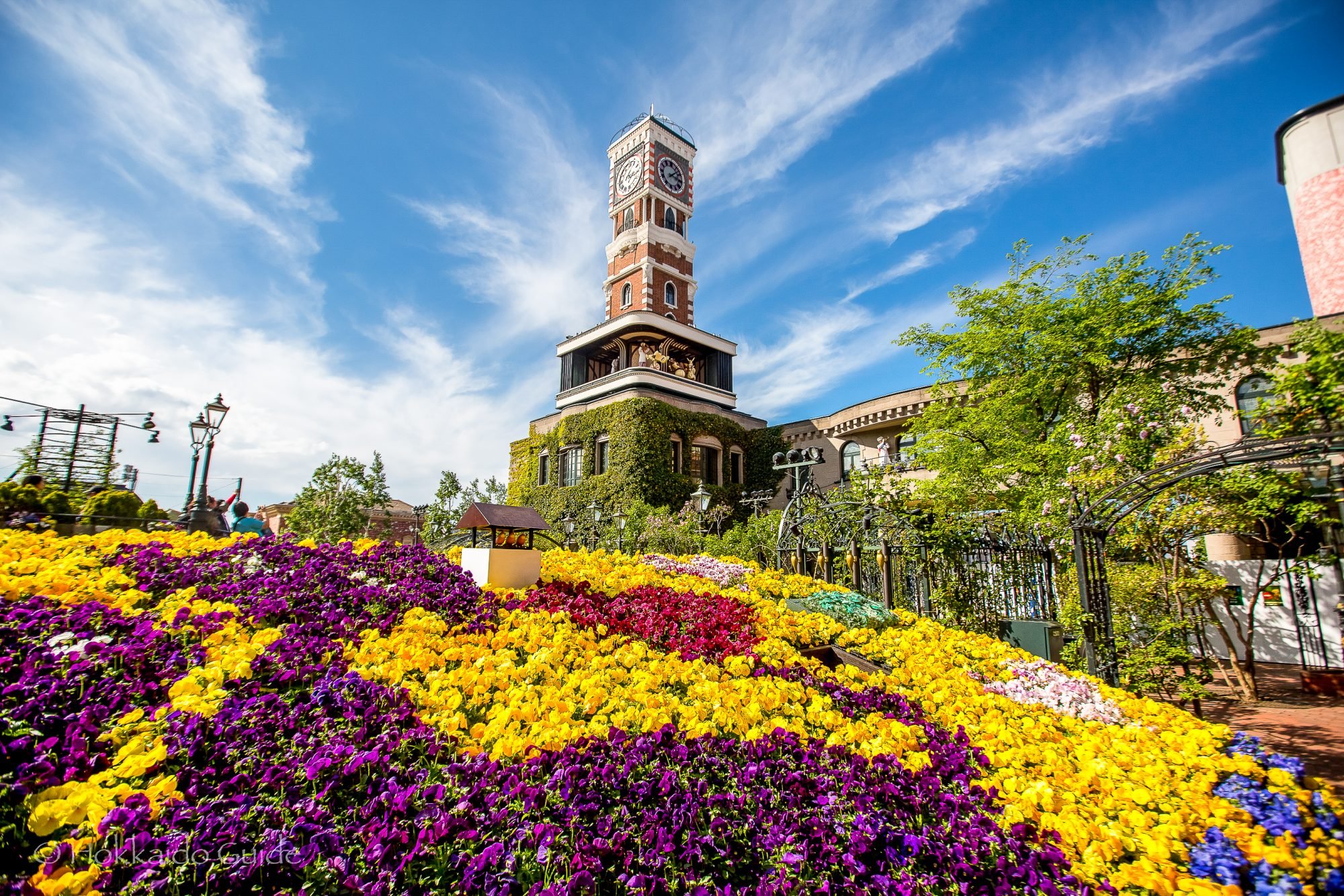 🍫 시로이코이비토 파크 이미지 5